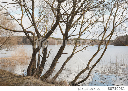 Picturesque view of river or lake in spring. Blue water surface with small waves under blue sky 88730981