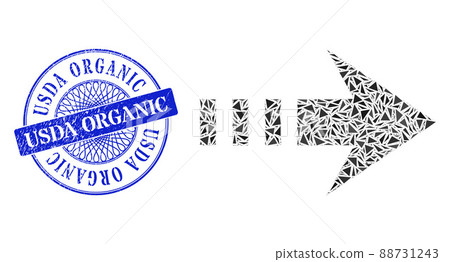 Grunge Usda Organic Badge and Triangle Send Right Mosaic Grunge Usda Organic Badge and Triangle Send Right Mosaic 88731243
