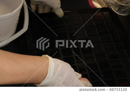 Work scenery to clean every detail for the year-end general cleaning 88733120