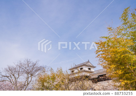 (Ehime Prefecture) Matsuyama Castle over bamboo grove (Ehime Prefecture) Matsuyama Castle over bamboo grove 88733255