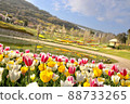 A park full of flowers 88733265