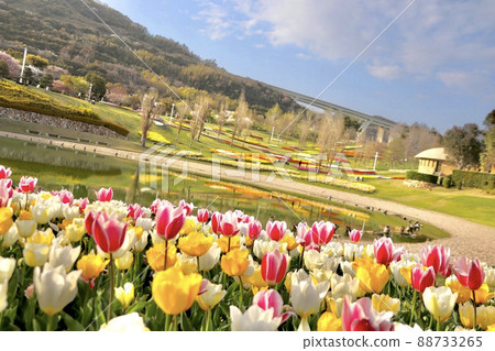 開滿鮮花的公園 開滿鮮花的公園 88733265
