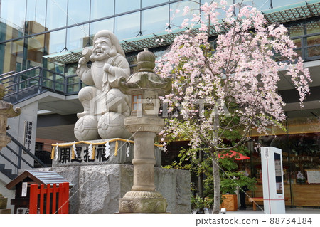 Daikoku-sama statue and cherry blossoms at Kanda Shrine, Sotokanda 2-chome, Chiyoda-ku, Tokyo 88734184