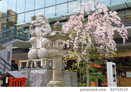 東京千代田區外神田二丁目神田神社的大黑大人雕像和櫻花 88734234