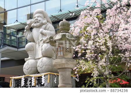 Daikoku-sama statue and cherry blossoms at Kanda Shrine, Sotokanda 2-chome, Chiyoda-ku, Tokyo 88734236