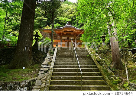 關巖寺的藍色秋葉 88734644