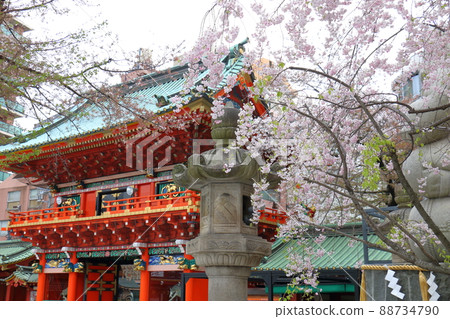 東京都千代田區外神田神田神社和櫻花 88734790