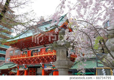 東京都千代田區外神田神田神社和櫻花 88734795