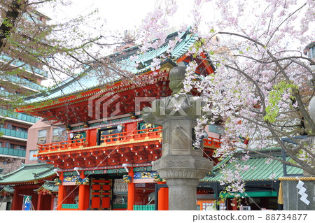 Kanda Shrine's Kanda Shrine and Sakura, Sotokanda, Chiyoda-ku, Tokyo Kanda Shrine's Kanda Shrine and Sakura, Sotokanda, Chiyoda-ku, Tokyo 88734877