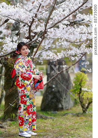 穿著京都和服散步 穿著京都和服散步 88735000