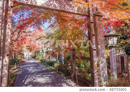 Suzuka City, Mie Prefecture, the gate of Ishiyakushiji Temple with beautiful autumn leaves Suzuka City, Mie Prefecture, the gate of Ishiyakushiji Temple with beautiful autumn leaves 88735001