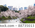Boating at Chidorigafuchi in full bloom of cherry blossoms 88735013