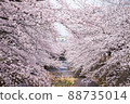 Beautiful landscape photography of Japan in full bloom of cherry blossoms 88735014