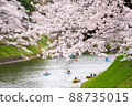 Boating at Chidorigafuchi in full bloom of cherry blossoms 88735015