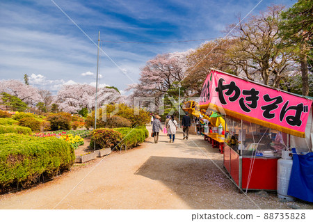 沼田城址公園櫻花祭2 沼田城址公園櫻花祭2 88735828