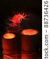 Bamboo light and cluster amaryllis 88736426