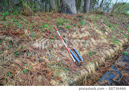 Land surveying forest pile image 88736466