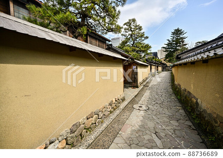 Spring scenery of Nagamachi samurai residence ruins 88736689