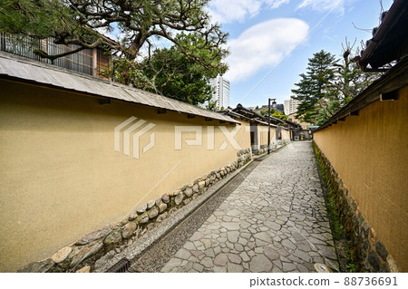 Spring scenery of Nagamachi samurai residence ruins Spring scenery of Nagamachi samurai residence ruins 88736691