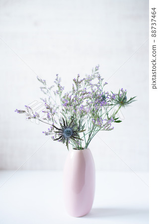 Flowers displayed by the window 88737464