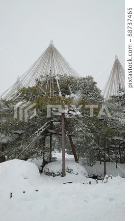 Yukitsuri of Kenrokuen (vertical) Yukitsuri of Kenrokuen (vertical) 88737465