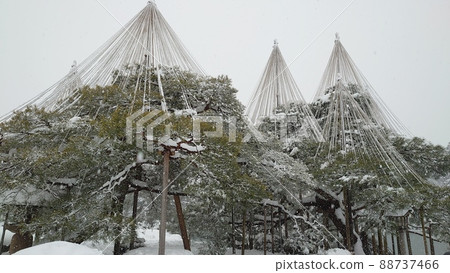 Kenrokuen Yukitsuri (horizontal) 88737466