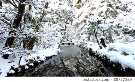 金澤的兼六園雪景 88737589