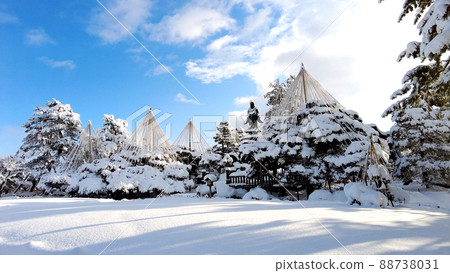 金澤的兼六園雪景 88738031