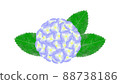  hydrangea 88738186
