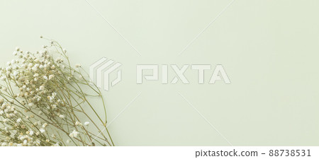 Gypsophila flowers on green pastel background. Flat lay, top view, Minimalism, empty space Gypsophila flowers on green pastel background. Flat lay, top view, Minimalism, empty space 88738531