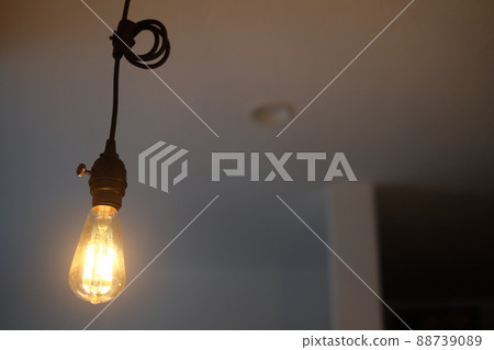 Bare light bulb antique lighting Edison lamp 88739089