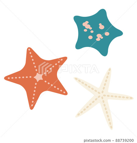 Starfish illustration 88739200