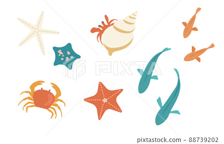 海邊生物的插圖 88739202