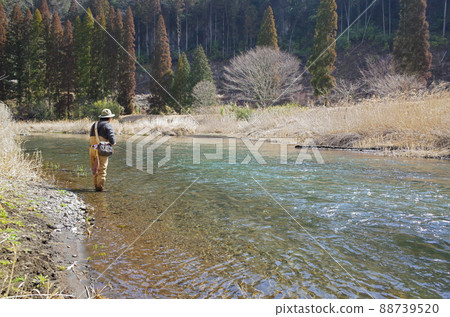 Fly fishing 88739520