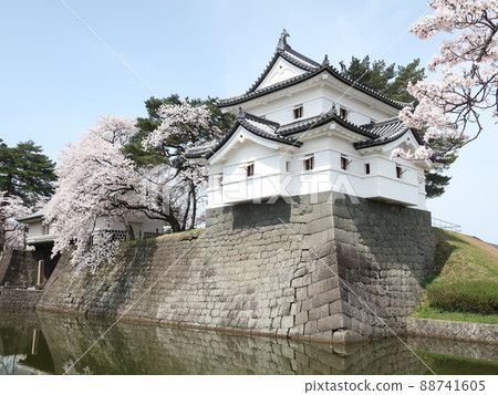 Shibata城堡的春天 88741605