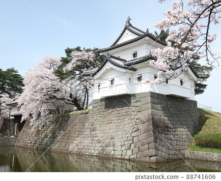 Spring of Shibata castle 88741606