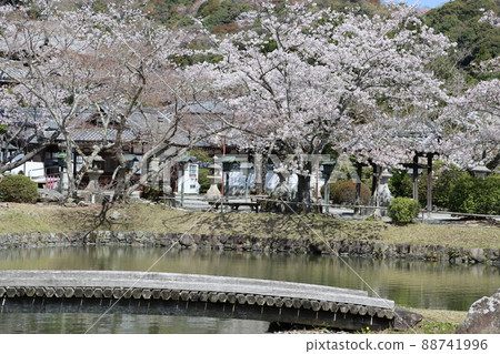 Negoriji Negoriji 88741996