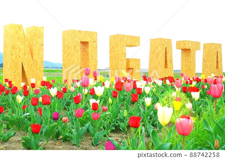 緒方鬱金香博覽會紀念碑 緒方鬱金香博覽會紀念碑 88742258