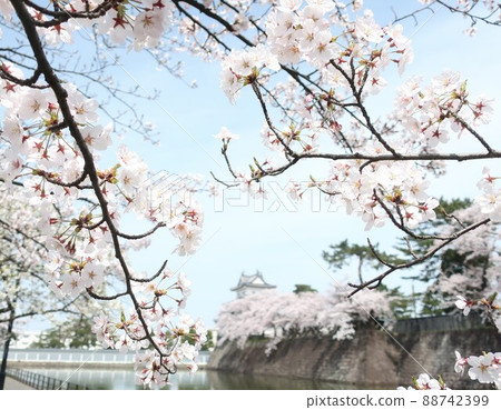 Spring of Shibata castle 88742399