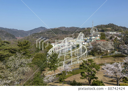 藍天映襯著櫻花盛開的春天神峰休閒樂園 88742424