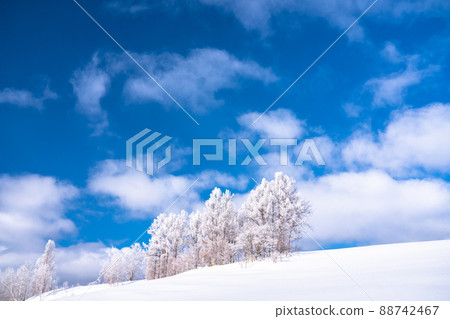 《北海道》冬天的美瑛、樹上的霧凇和雪原 《北海道》冬天的美瑛、樹上的霧凇和雪原 88742467