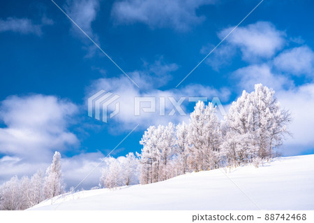《北海道》冬天的美瑛、樹上的霧凇和雪原 《北海道》冬天的美瑛、樹上的霧凇和雪原 88742468