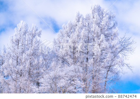 《Hokkaido》 Winter Biei, rime on trees and the land of snowfields 88742474