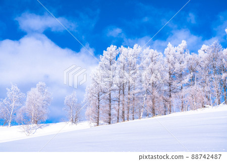 《北海道》冬天的美瑛、樹上的霧凇和雪原 《北海道》冬天的美瑛、樹上的霧凇和雪原 88742487