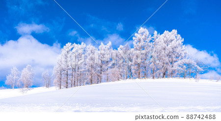 《Hokkaido》 Winter Biei, rime on trees and the land of snowfields 88742488