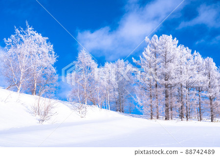 《北海道》冬天的美瑛、樹上的霧凇和雪原 《北海道》冬天的美瑛、樹上的霧凇和雪原 88742489