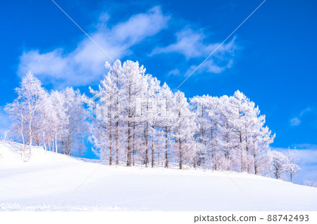 《Hokkaido》 Winter Biei, rime on trees and the land of snowfields 88742493