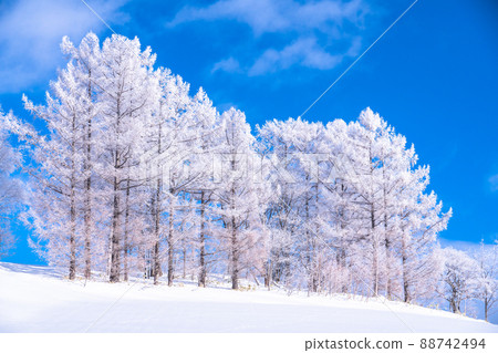《Hokkaido》 Winter Biei, rime on trees and the land of snowfields 88742494