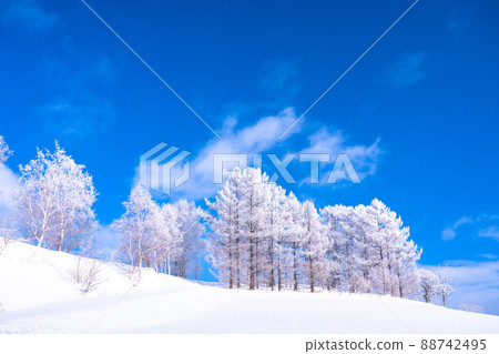 《Hokkaido》 Winter Biei, rime on trees and the land of snowfields 88742495