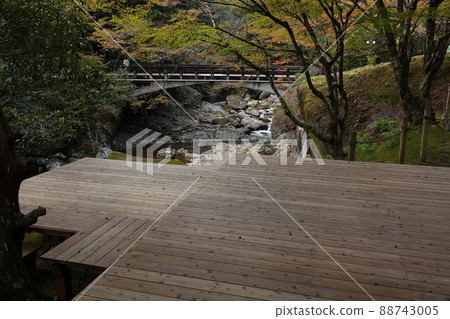 Wood deck and Mannenbashi 88743005